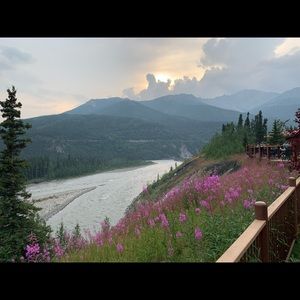 Meet your Posher, William